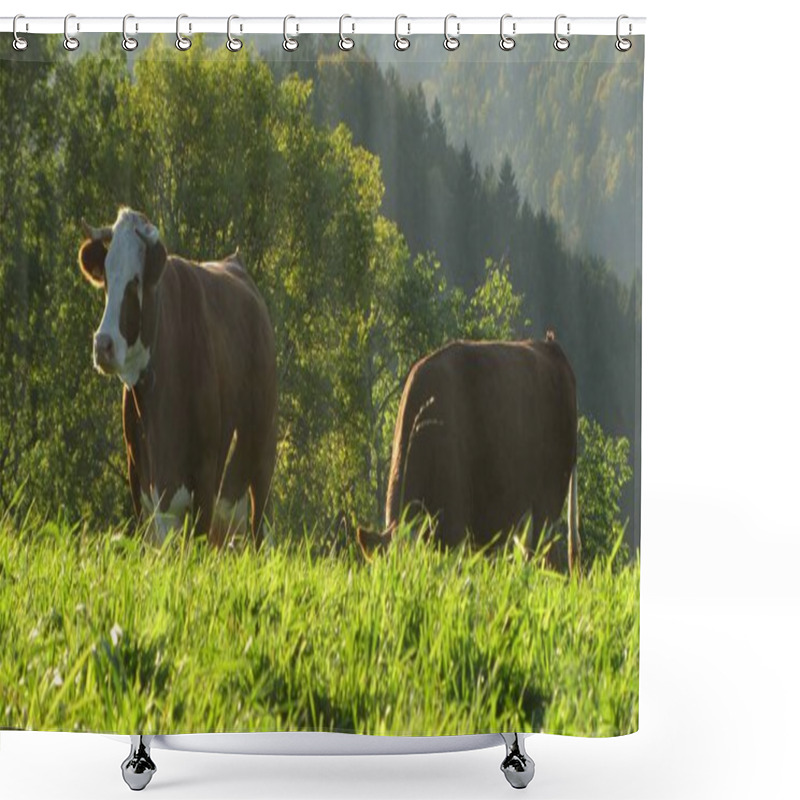 Personality  Grazing Cows On An Alpine Pasture, Farm Animals In The Mountains Shower Curtains