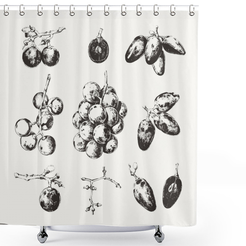 Personality  Ink Drawn Grape Shower Curtains