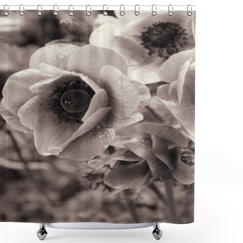 Personality  Lilac Poppies With Water Drops In Spring. Shower Curtains