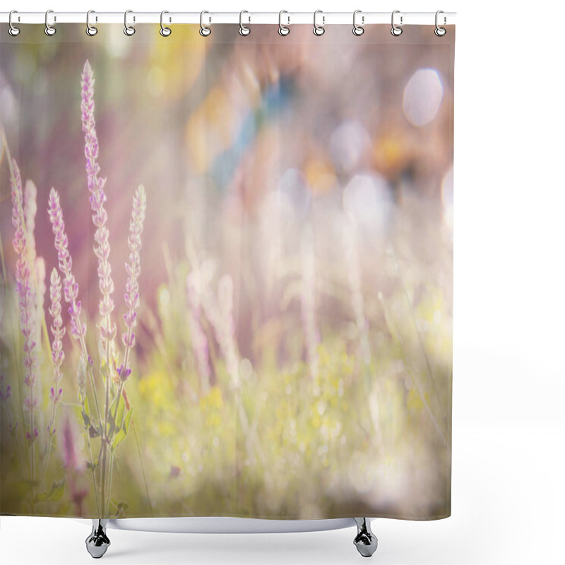 Personality  Sunny Day On The Flowers Meadow. Beautiful Natural Background. Shower Curtains