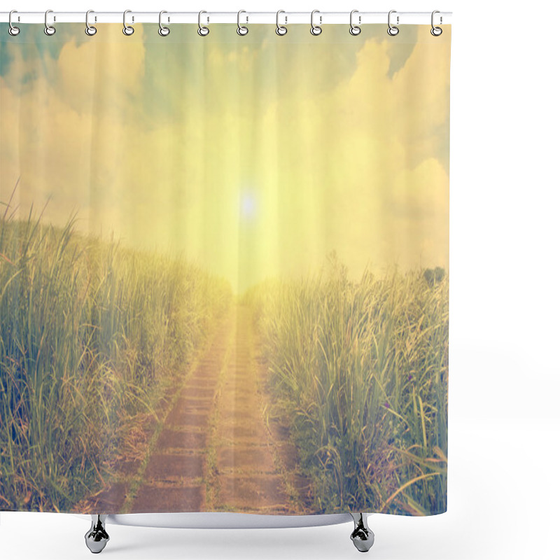 Personality  Pathway On Picturesque Meadow Shower Curtains