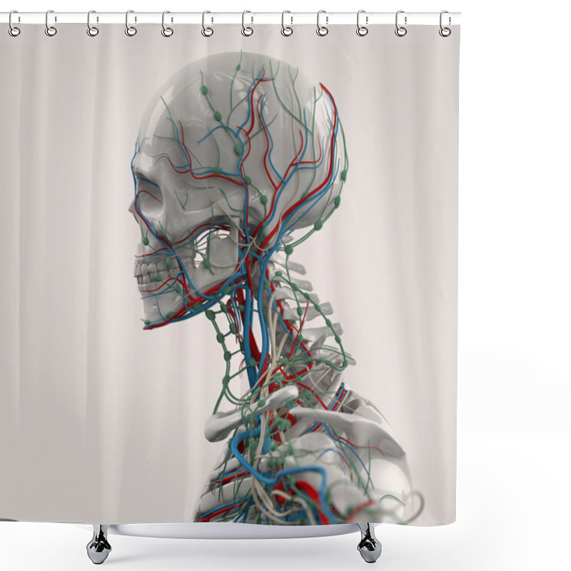 Personality  Human Anatomy Porcelain Skeleton Side View With Veins On Plain White Background. Shower Curtains