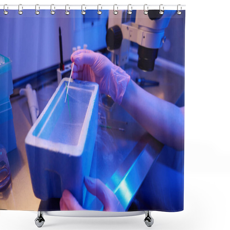 Personality  Cropped Photo Of Researcher In Sterile Gloves Placing Vitrification Straws Into Liquid Nitrogen Shower Curtains