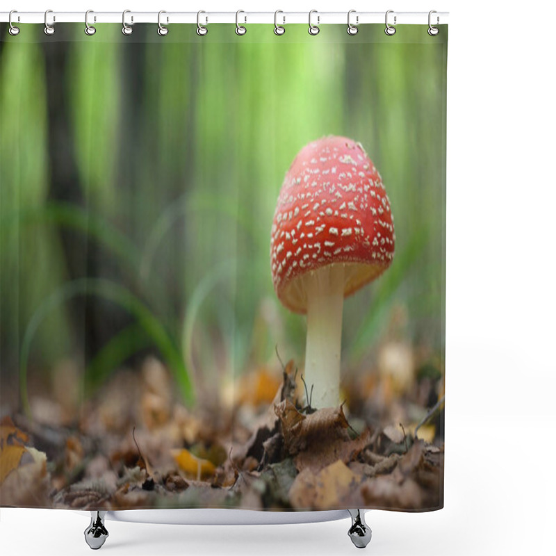 Personality  Amanita Muscaria, A Poisonous Mushroom In A Forest Shower Curtains