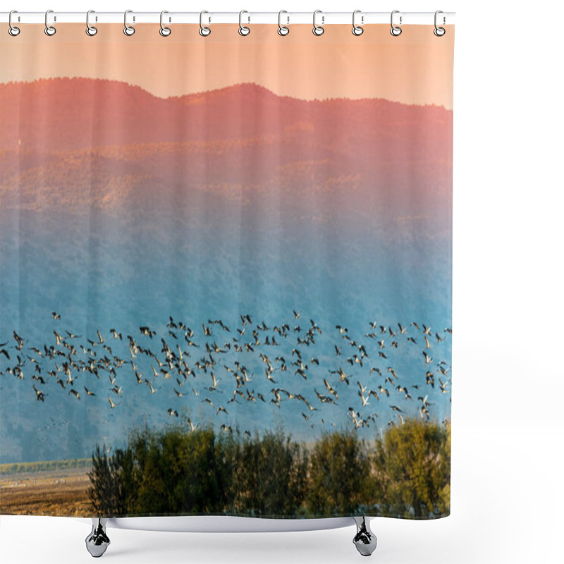 Personality  A Flock Of Flying Birds In Agamon HaHula Nature Reserve In The Evening. Hula Valley In Northern Israel At Sunset Shower Curtains