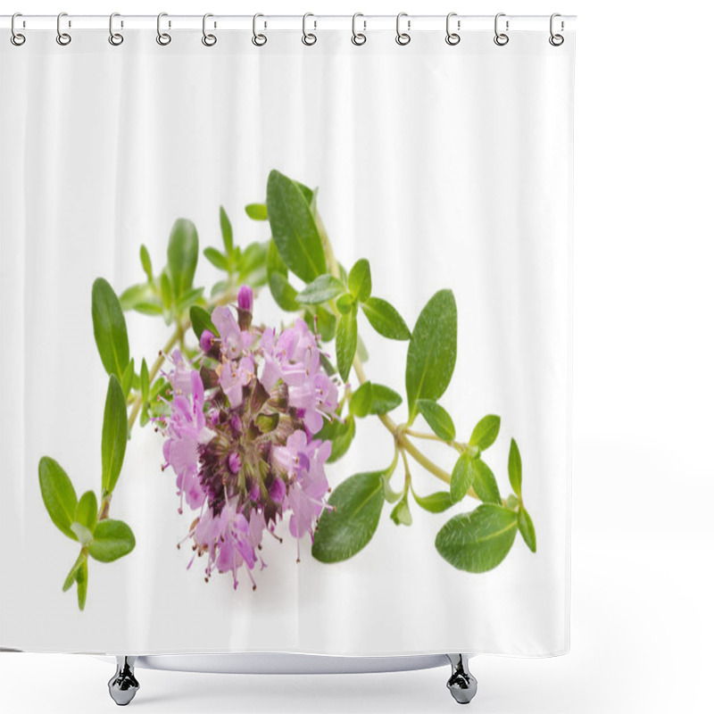 Personality  Thyme Flowers Shower Curtains