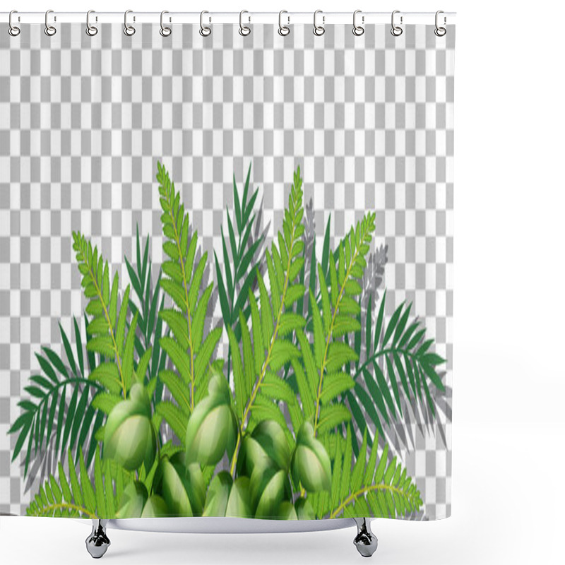 Personality  Grass And Plants On Transparent Background For Decor Illustration Shower Curtains