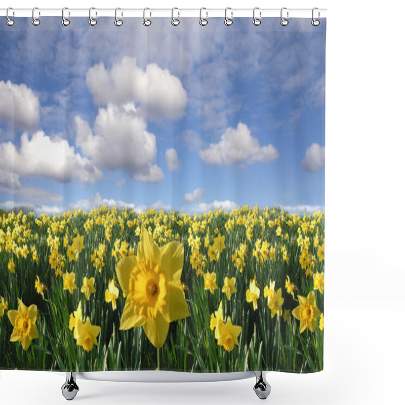 Personality  Yellow Daffodils Field Shower Curtains