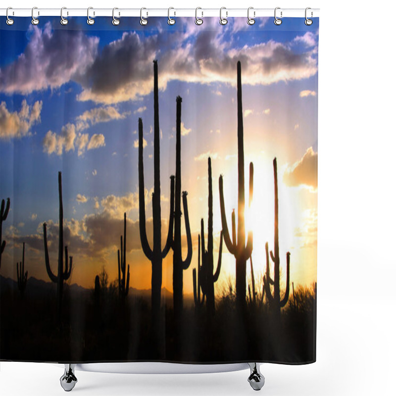 Personality  Saguaro National Park Shower Curtains