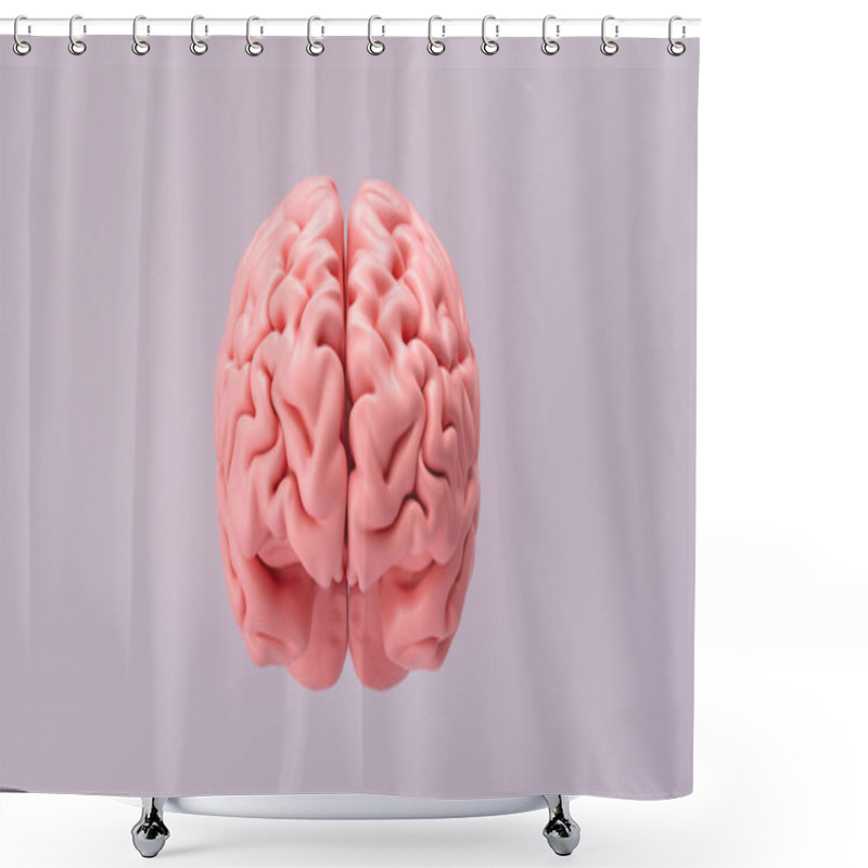 Personality  Human Brain Anatomical Model, Medical Concept Image Shower Curtains