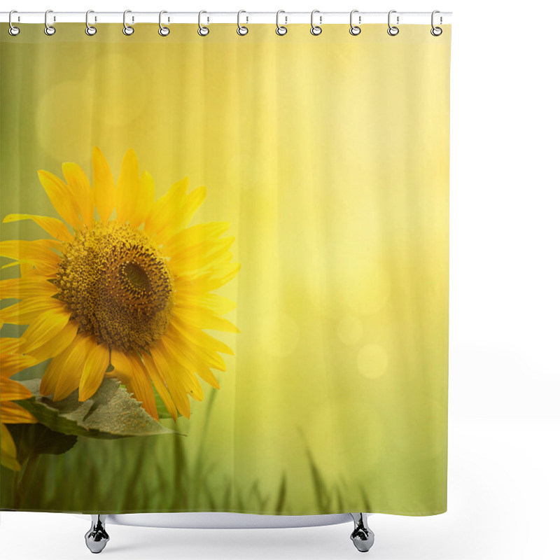 Personality  Summer Sunflower Background Shower Curtains