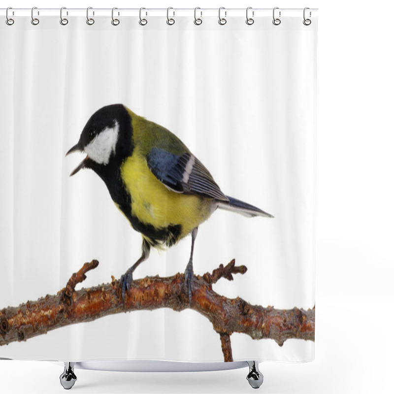 Personality  Great Tit On White Shower Curtains