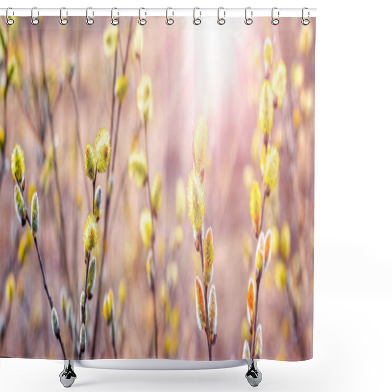 Personality  Willow Branches With Fluffy Catkins In The Forest On A Blurred Background Shower Curtains