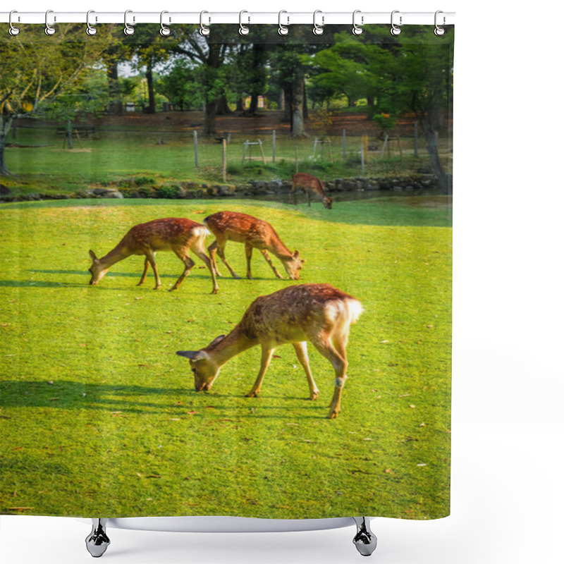 Personality  Sika Deers In Nara Park, Japan Shower Curtains