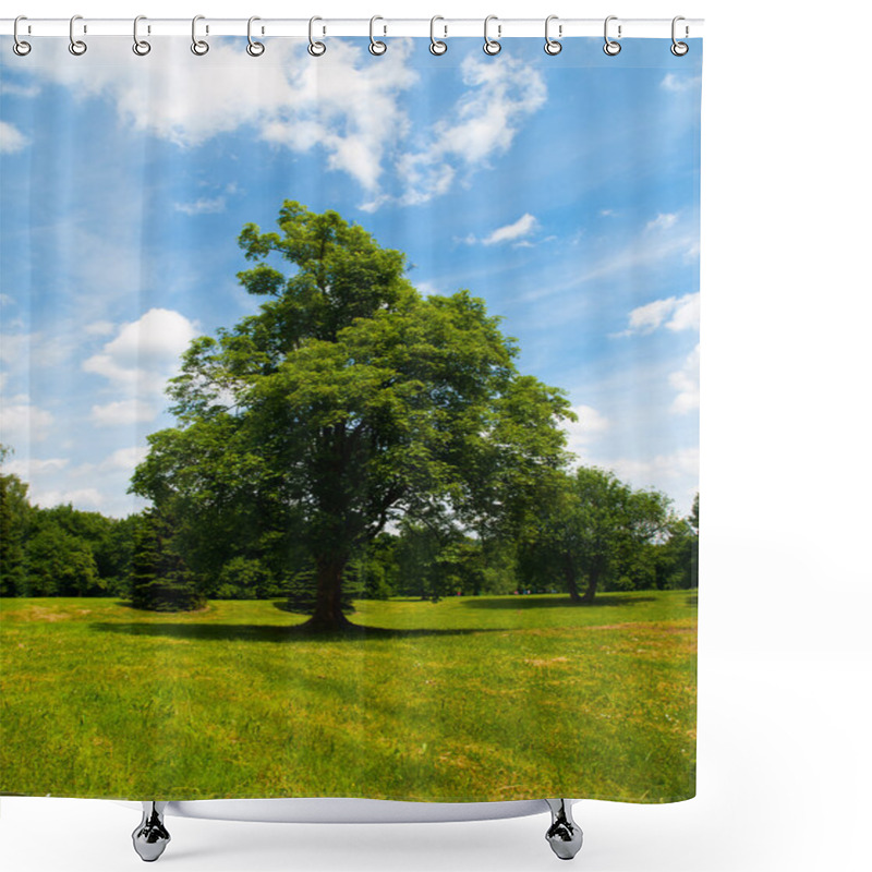 Personality  Green Tree In A Meadow Shower Curtains