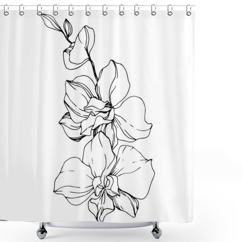 Personality  Beautiful Orchid Flowers. Black And White Engraved Ink Art. Isolated Orchids Illustration Element On White Background. Shower Curtains