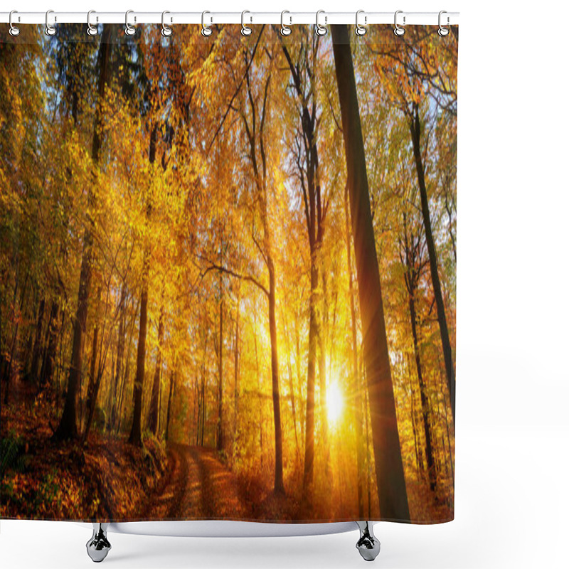 Personality  Forest Sunset In Autumn Shower Curtains