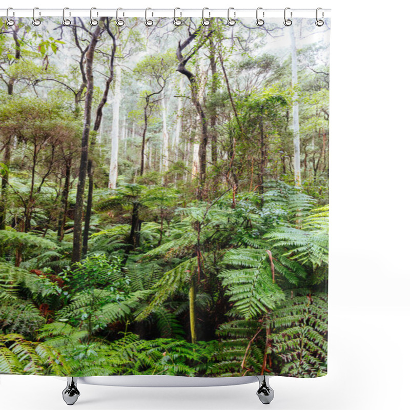 Personality  La La Falls In Warburton Australia Shower Curtains