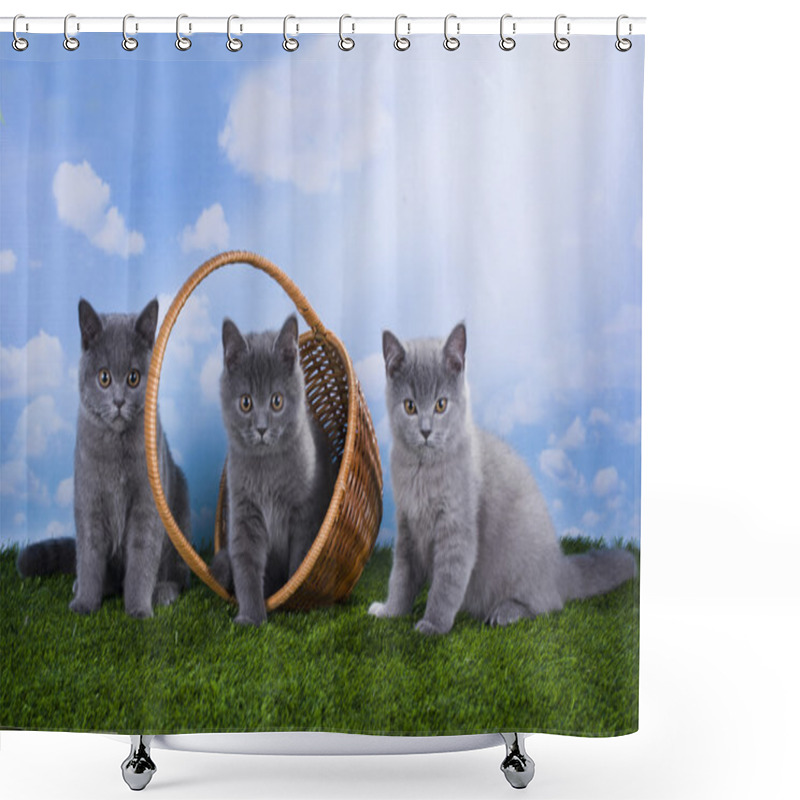 Personality  Kittens Playing In The Grass On A Sunny Summer Day Shower Curtains