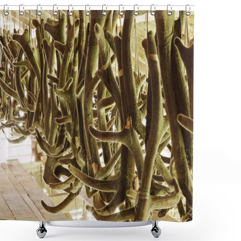 Personality  The Cut Horns Of Maral Shower Curtains