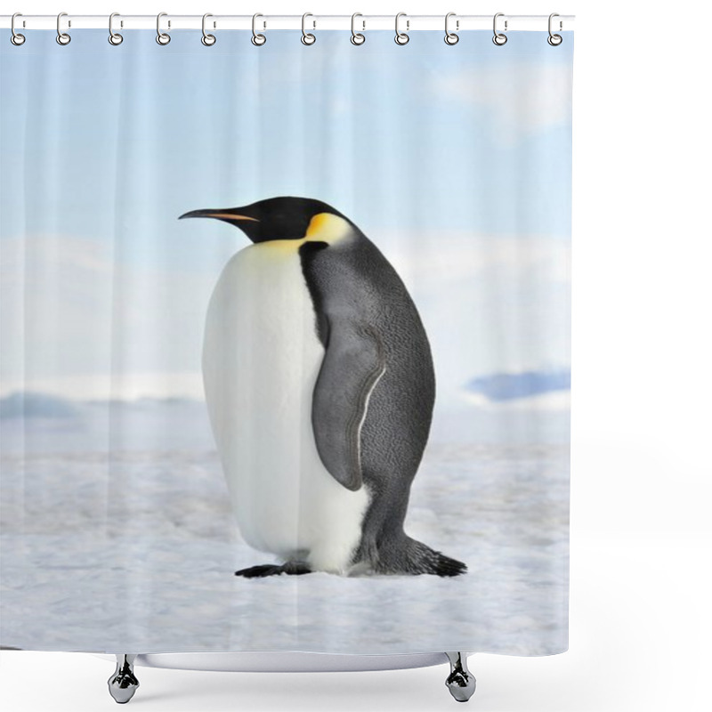 Personality  Emperor Penguin Shower Curtains