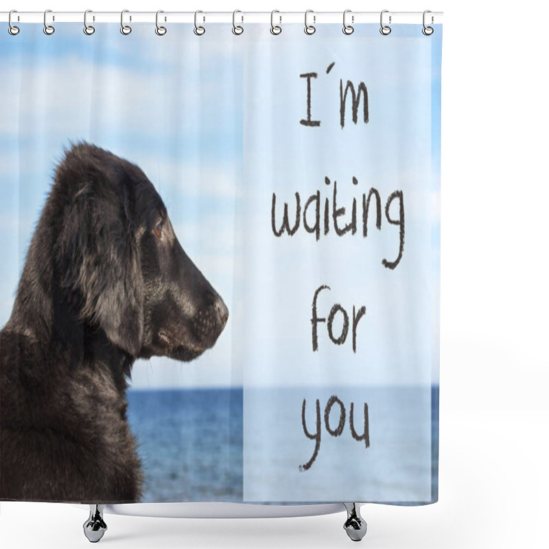 Personality  Dog At Ocean, Text I Am Waiting For You Shower Curtains