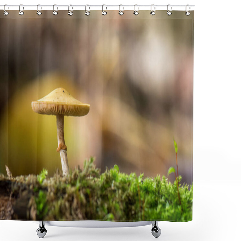 Personality  Orange Mushrooms On Blurred Background. Galerina Marginata Is Deadly Poisonous Mushroom. Shower Curtains