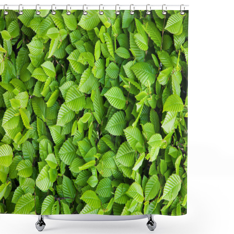 Personality  Green Leaves Background Shower Curtains