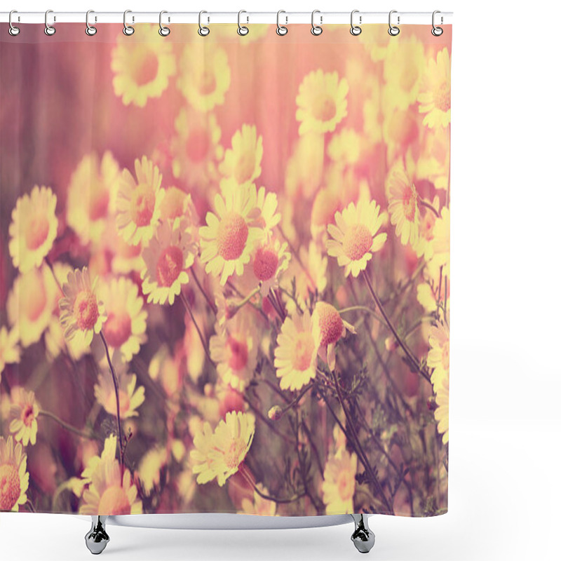 Personality  Wild Chamomile Flowers Shower Curtains