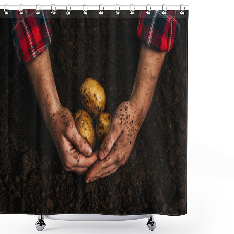 Personality  Cropped View Of Farmer Holding Ripe Natural Potatoes In Ground Shower Curtains