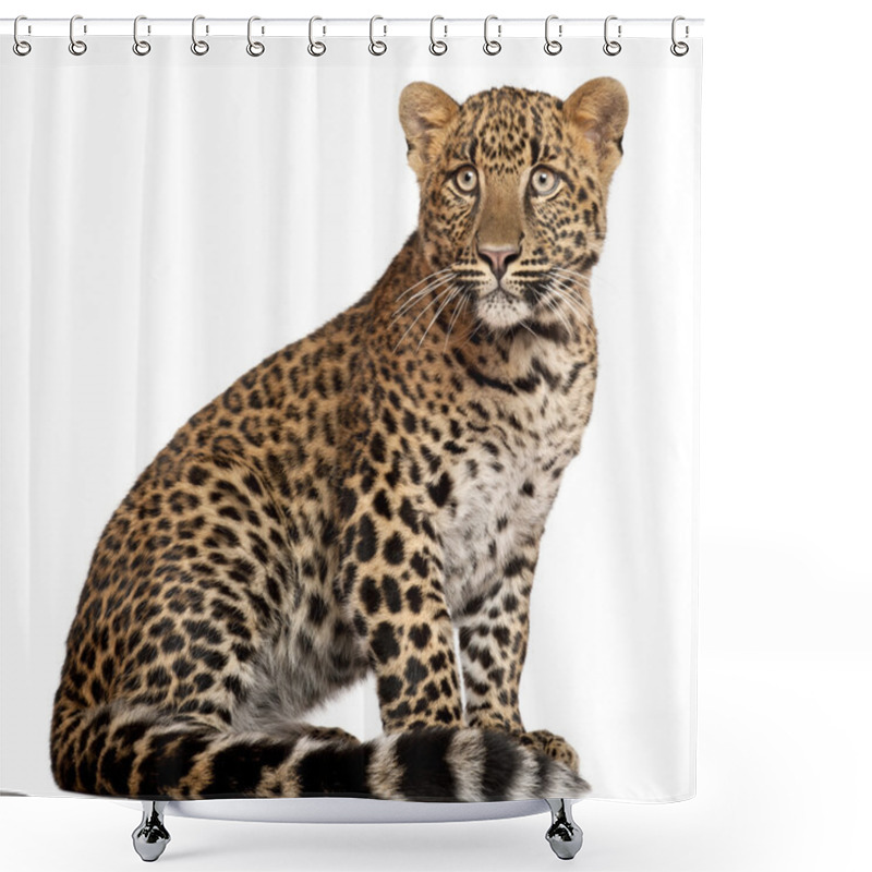 Personality  Leopard, Panthera Pardus, 6 Months Old, Lying In Front Of White Background Shower Curtains