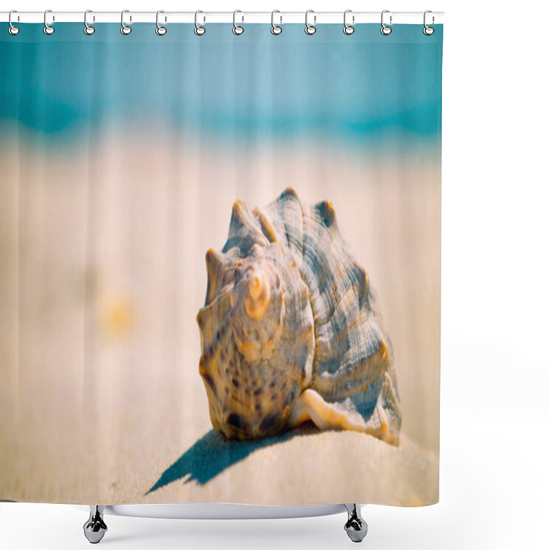 Personality  Sea Shell On A Sandy Beach At Blur Background With Copy Space For Text, Closeup. Shower Curtains