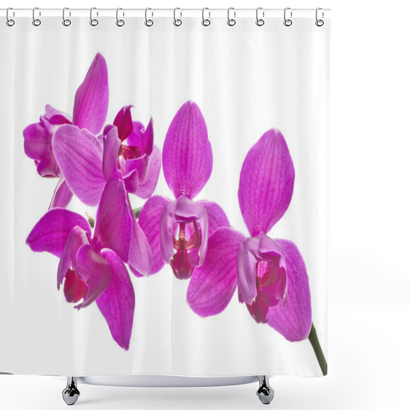 Personality  Three Petals Isolated Pink Orchids Shower Curtains