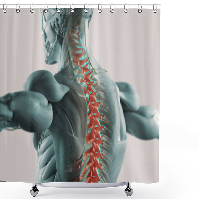 Personality  Human Spine Model Shower Curtains