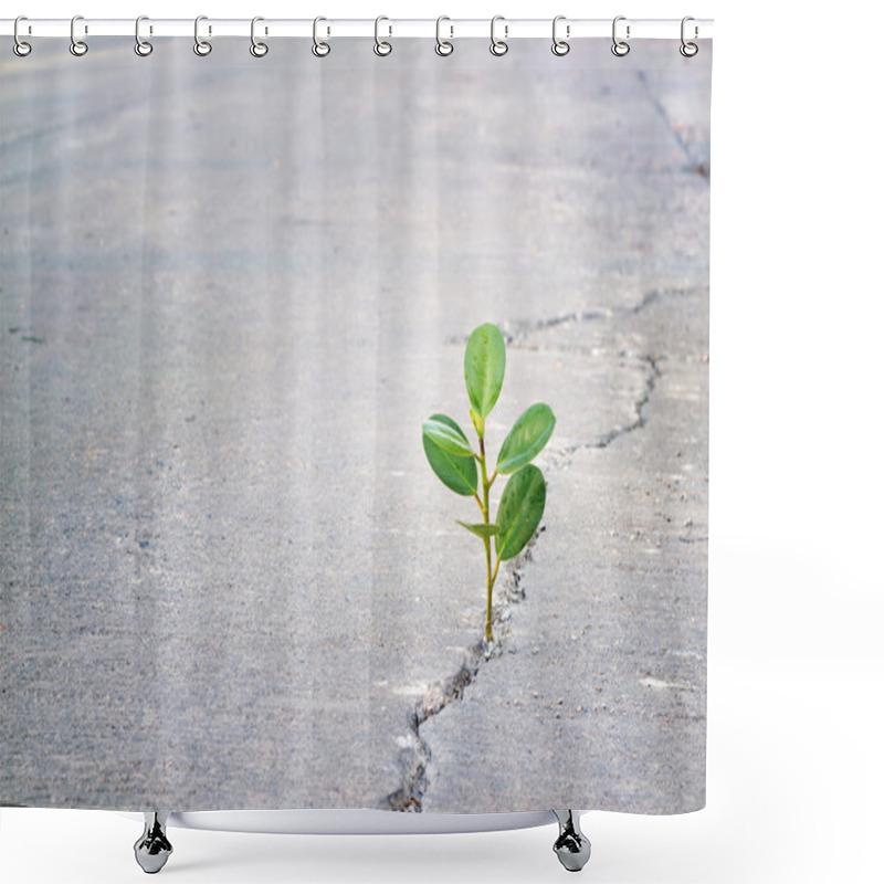 Personality  Young Plant Growing In Crack Street, Hope And Impressive Emotion Shower Curtains