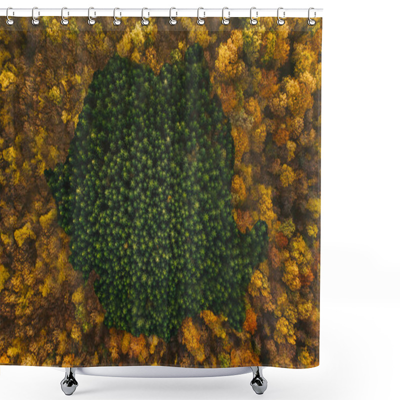 Personality  Map Of Romania Created From Pine Trees. Representative Image For Shower Curtains