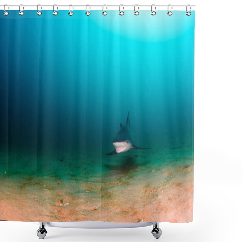 Personality  Bull Shark (Carcharhinus Leucas). Reefs Of The Sea Of Cortez, Pacific Ocean. Mexico. Shower Curtains