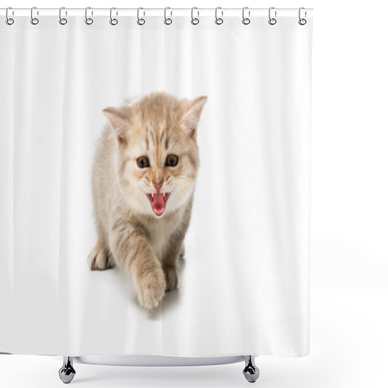 Personality  Cute Little Kitten Meowing And Looking At Camera Isolated On White  Shower Curtains