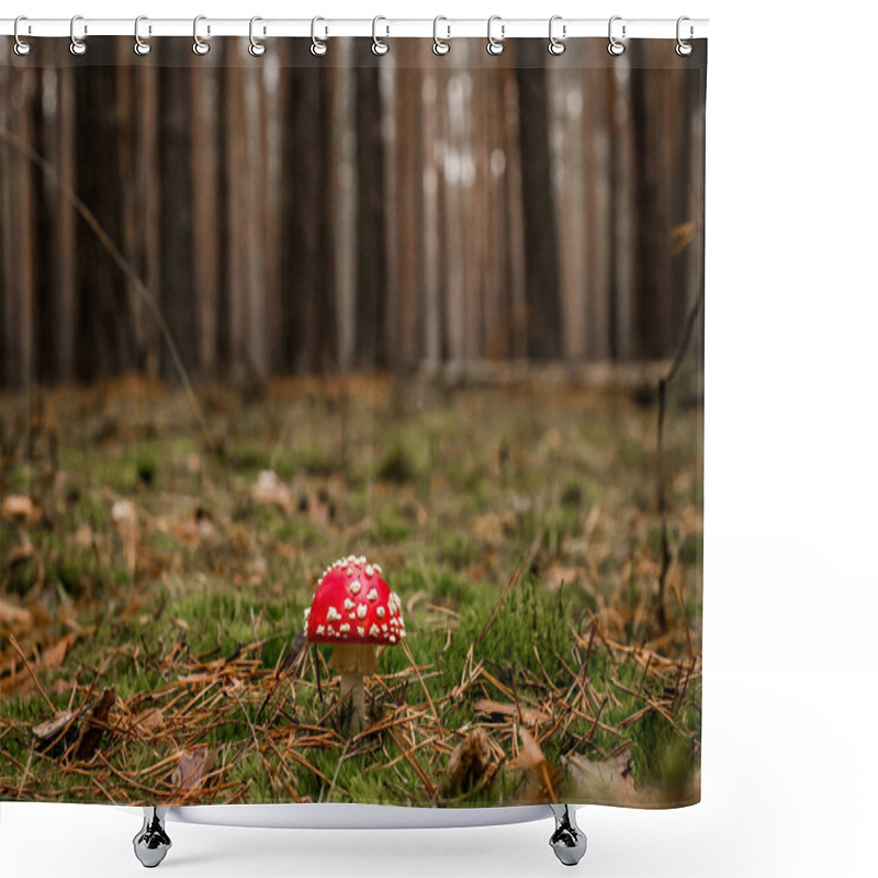 Personality  View Of Beautiful Bright Fly Agaric Grows In The Pine Forest On Green Moss Shower Curtains