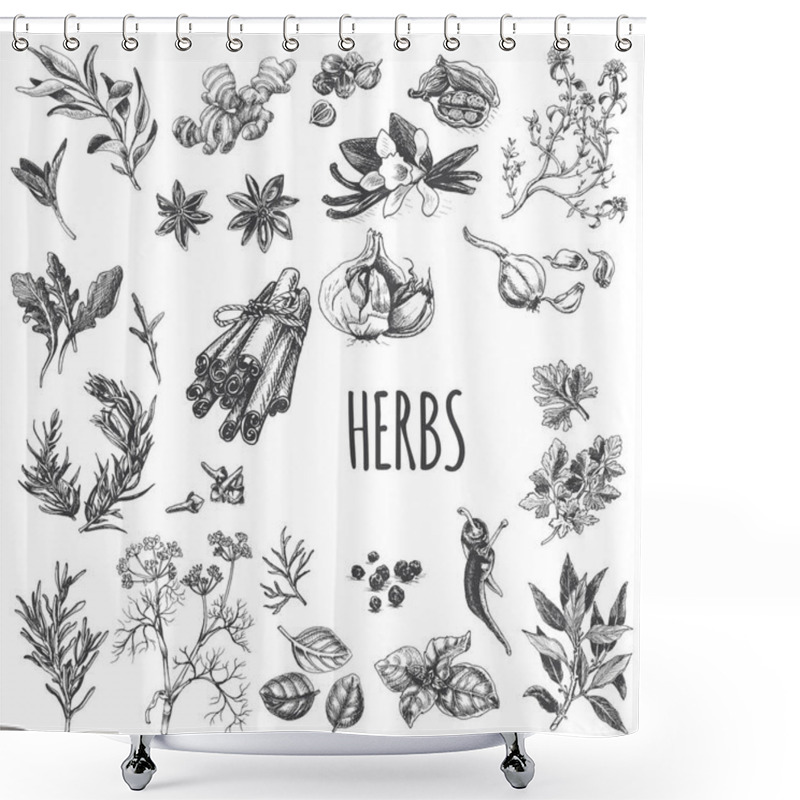 Personality  Vector Illustration Sketch - Eco Shop. Set Of Spices And Herbs. Shower Curtains