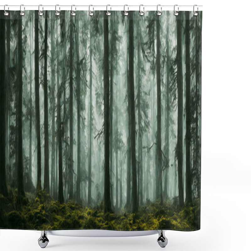 Personality  Dramatic, Scary Dark Forest With Green Bushes, 3d Render Shower Curtains