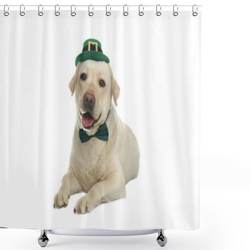 Personality  Labrador Retriever With Leprechaun Hat And Bow Tie On White Background. St. Patrick's Day Shower Curtains