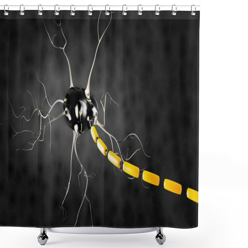 Personality  3d Illustration Of Neuron Anatomy, Infographic Isolated Black Shower Curtains