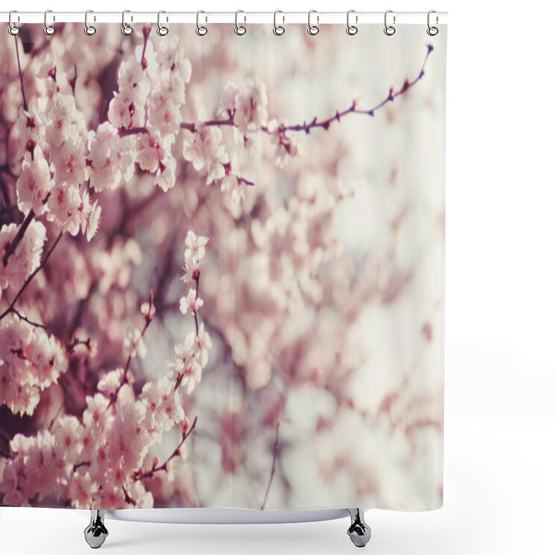 Personality  Spring Cherry Blossoms, Pink Flowers. Shower Curtains