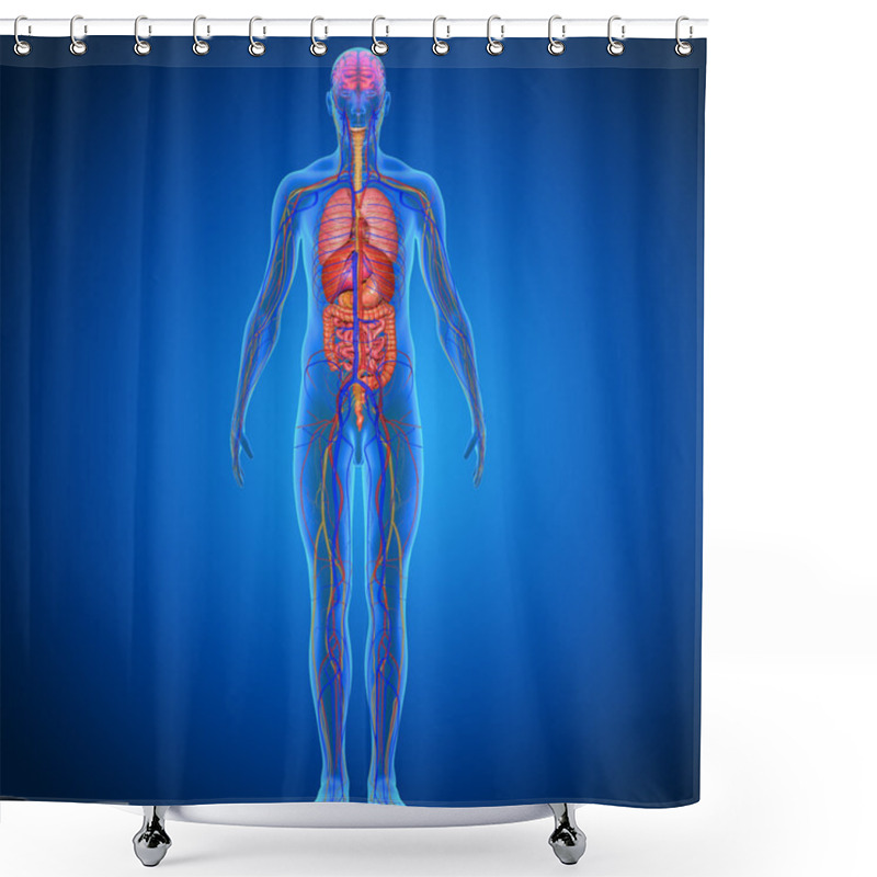 Personality  Human Body Anatomy Shower Curtains