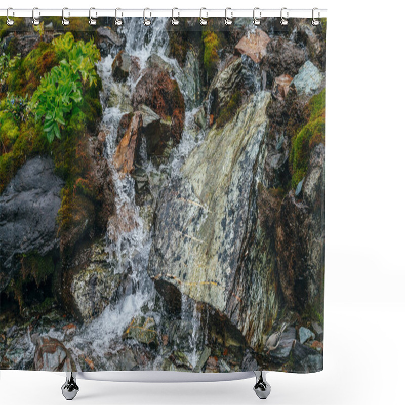 Personality  Scenic Background With Clear Spring Water Stream Among Thick Moss And Lush Vegetation On Stones. Mountain Creek On Mossy Rocks With Fresh Greenery. Colorful Backdrop With Rich Alpine Flora. Shower Curtains