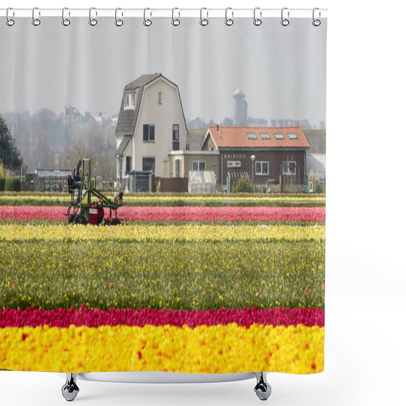 Personality  Noordwijkerhout, The Netherlands, April 15, 2019: Flower Bulb Cultivator At Work On An Agricultural Vehicle In Colorful Tulip Fields With Farm Buildings In The Background Shower Curtains