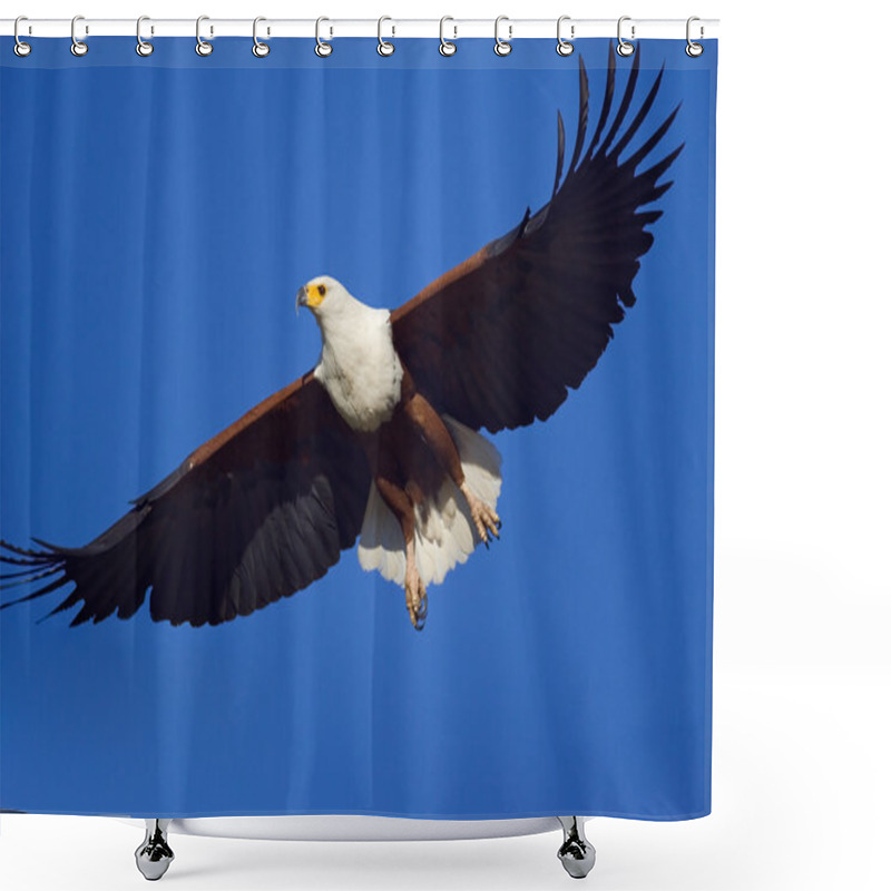 Personality  Fish Eagle Shower Curtains