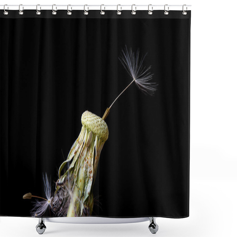 Personality  Closeup Photo Of Dandelion Seeds On Black Background Shower Curtains