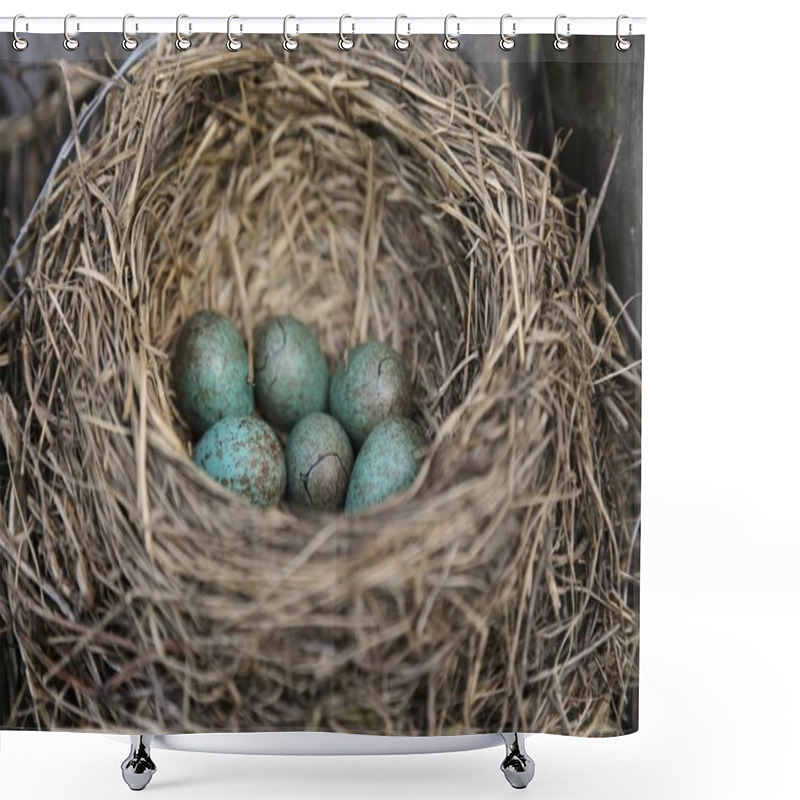 Personality  Nest With Blue Big Eggs In A Speck Shower Curtains